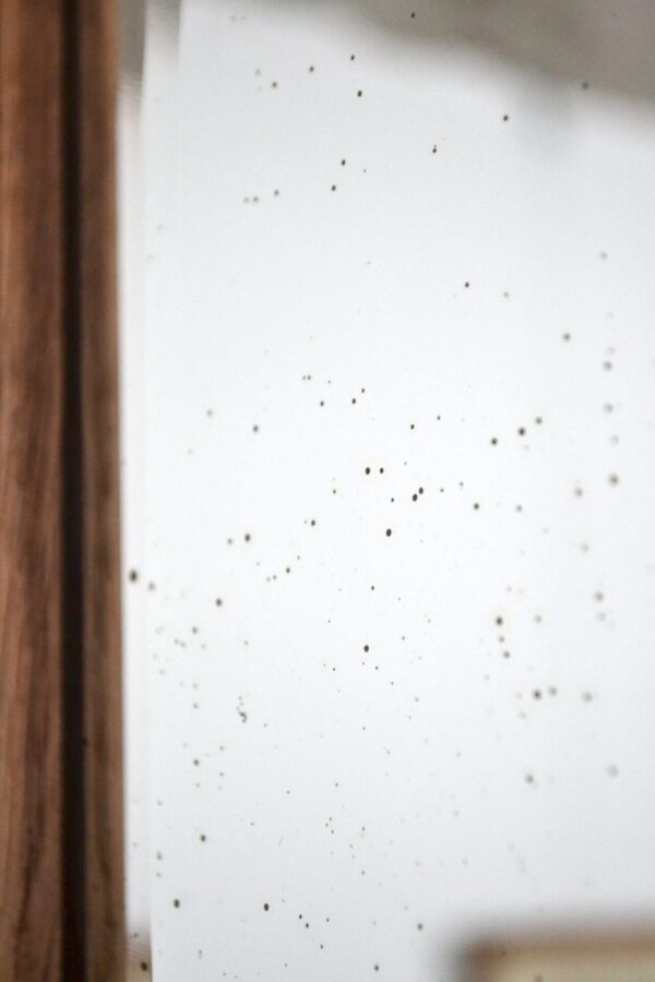 Wall mirror - 画像 (8)