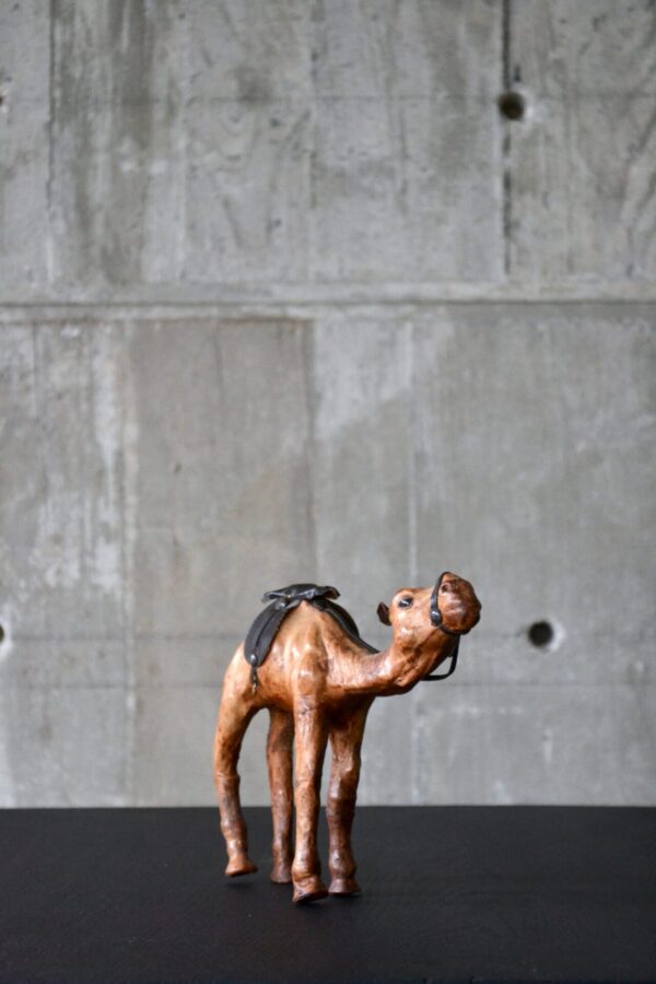 Camel - 画像 (4)