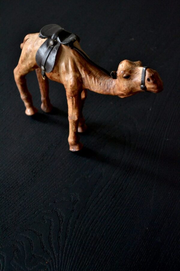 Camel