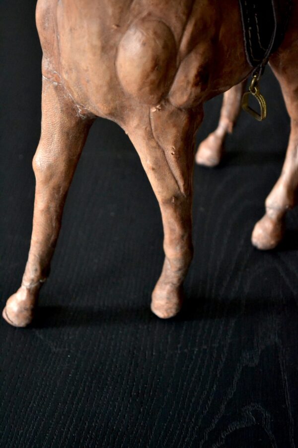 Horse - 画像 (8)