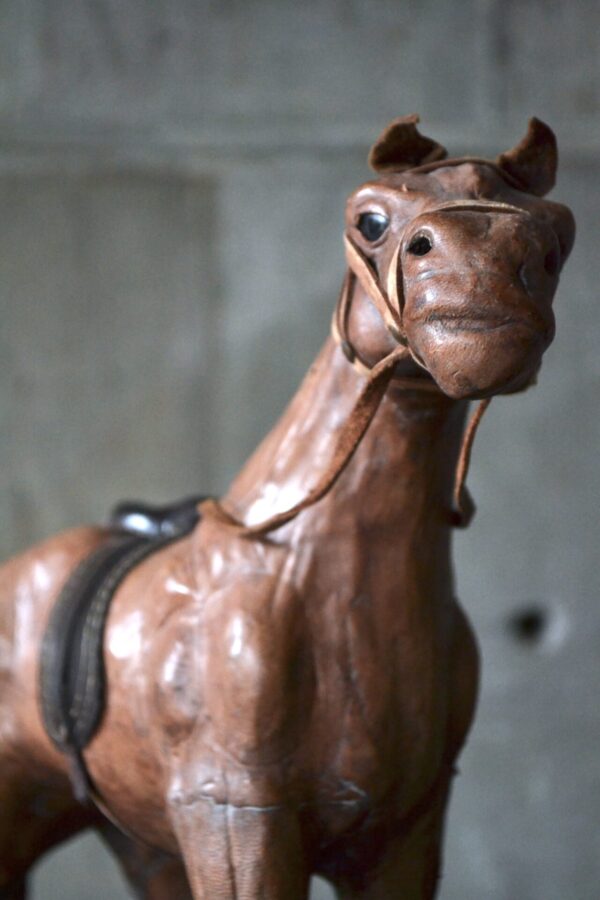 Horse - 画像 (5)