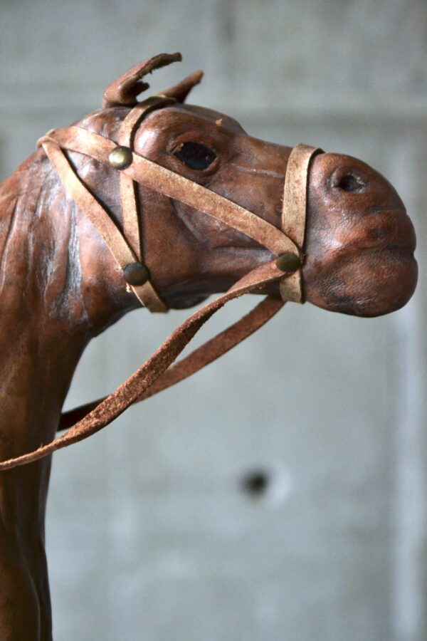 Horse - 画像 (6)