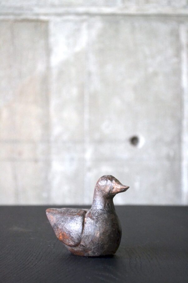 Water bird - 画像 (3)