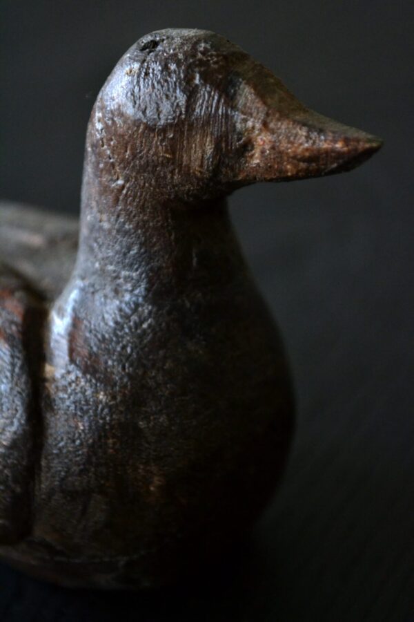 Water bird - 画像 (9)