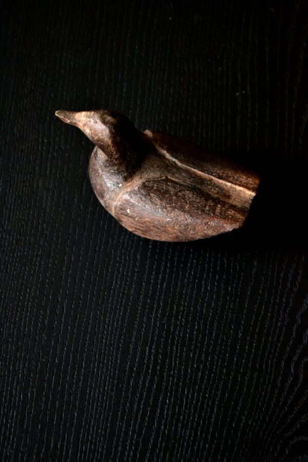 Water bird - 画像 (6)