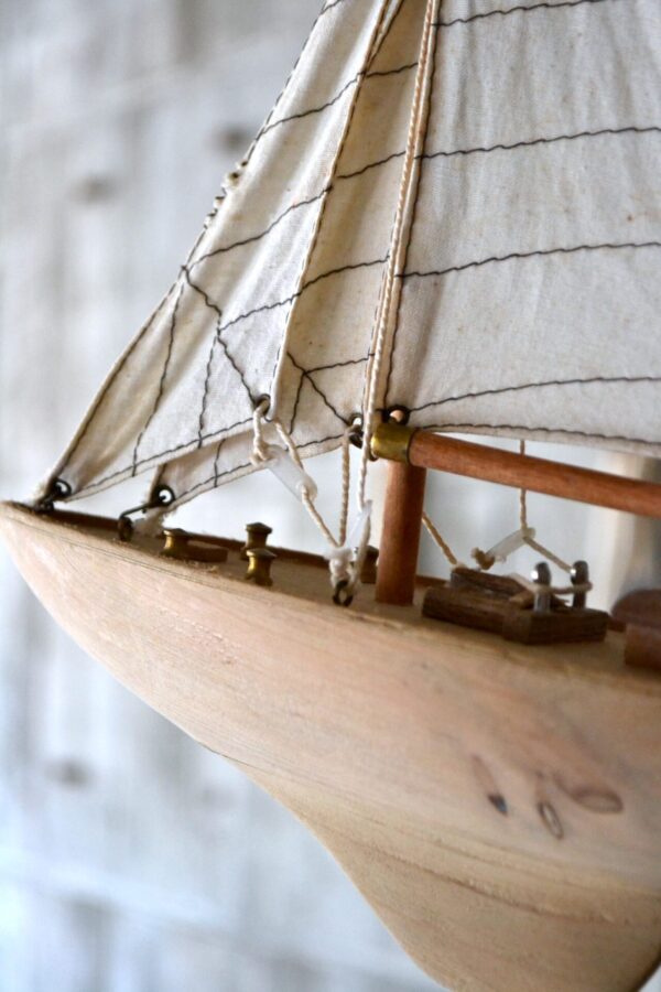 Yacht - 画像 (7)