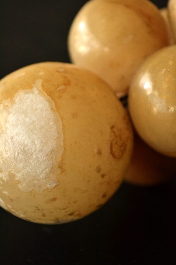 Grapes gem - 画像 (7)
