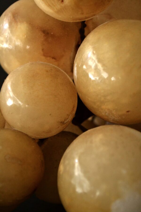 Grapes gem - 画像 (8)