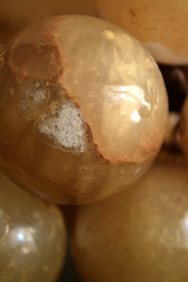 Grapes gem - 画像 (10)