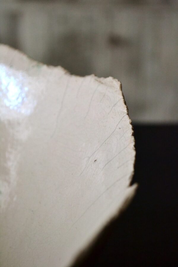 Bowl - 画像 (3)