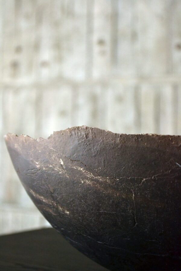 Bowl - 画像 (8)