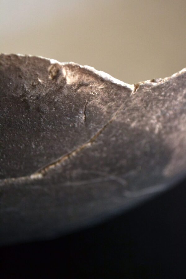 Bowl - 画像 (7)